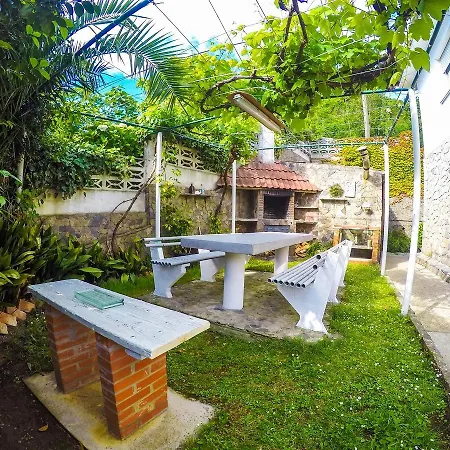 Hostel Black Shark Surfhouse *