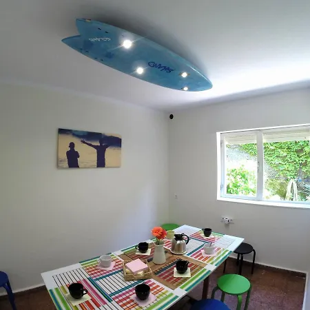 Black Shark Surfhouse * Cobreces
