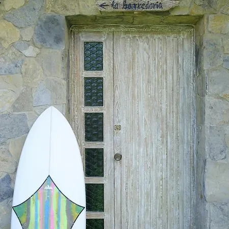 Black Shark Surfhouse