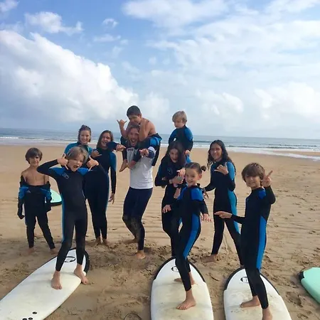 Black Shark Surfhouse *