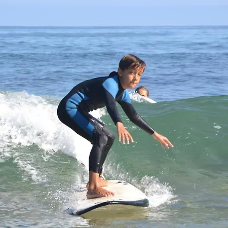 Black Shark Surfhouse