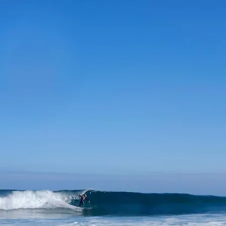 Black Shark Surfhouse * Cobreces